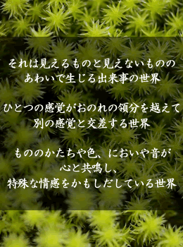 町子は第七官の世界を生きて、呼吸している。